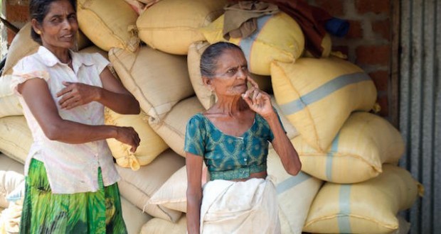 වී මිලදී ගැනීමේ අර්බුදය වී මිලදී ගැනීමේ අර්බුදය